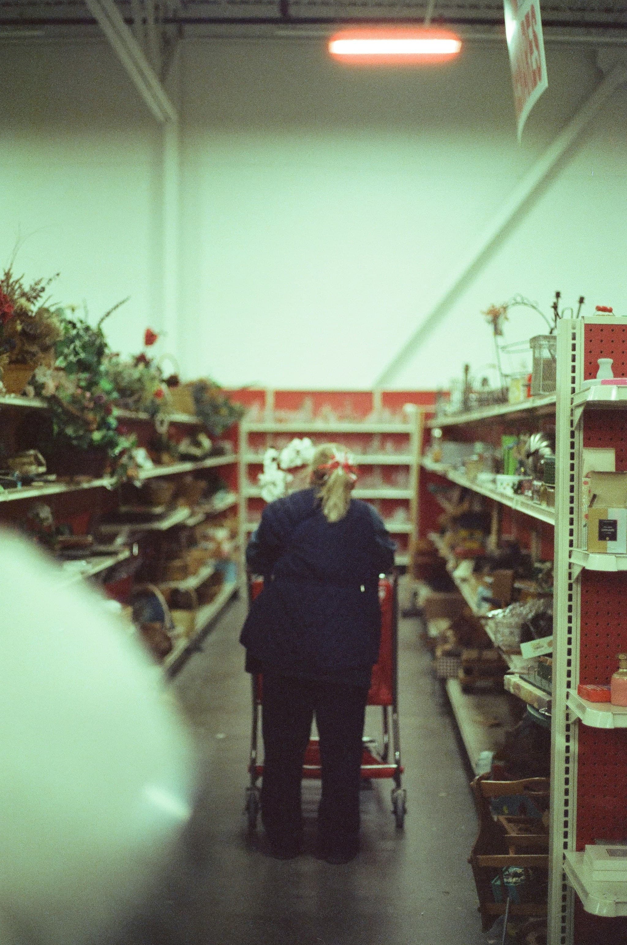 Escorts and Shopping - Image 2